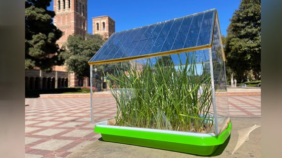 新型温室用有机太阳能板有助植物生长