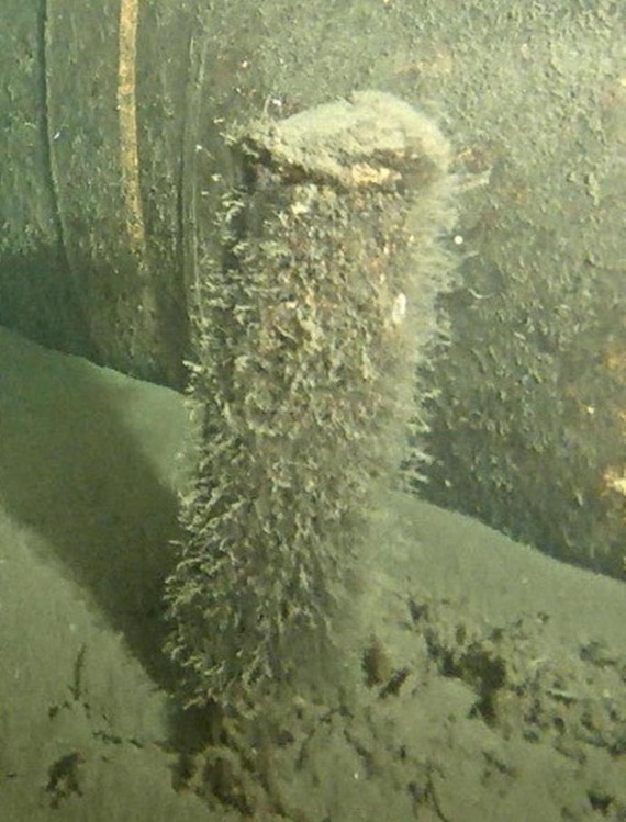 “北溪2号”管道附近海床发现一个管状物。（图：互联网）