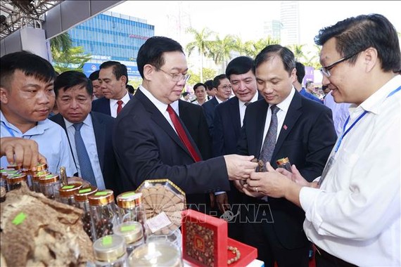 国会主席王廷惠参观该省特色产品陈列展。（图：越通社）