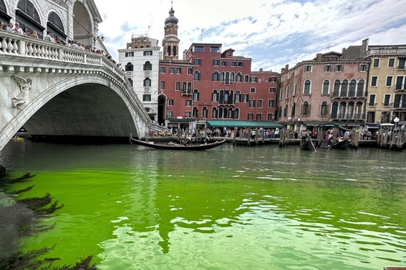 威尼斯运河出现“萤光绿”