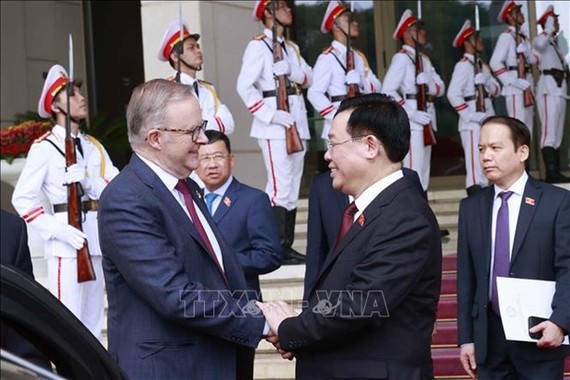 国会主席王廷惠（前右）会见澳大利亚总理安东尼·阿尔巴尼斯。 （图：越通社）