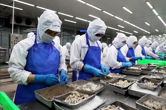 平政县永禄工业区沿海经济发展公司（COFIDEC）的劳工正在工作一瞥。