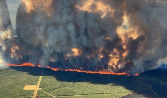 在不列颠哥伦比亚省东北部，超过1,575平方公里的土地已被野火烧焦。（图：互联网）