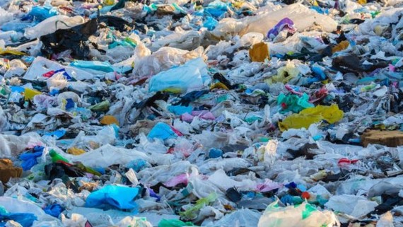 6月5日的世界环境主题为“塑料污染解决方案”。（图：互联网）