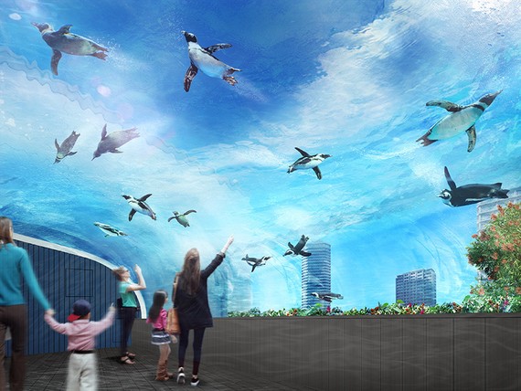 『讓企鵝飛上天空』展覽（圖片來源：互聯網）