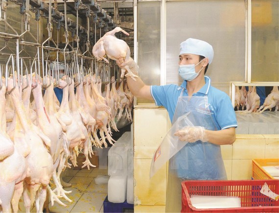 家禽屠宰單位加強確保衛生安全工作。