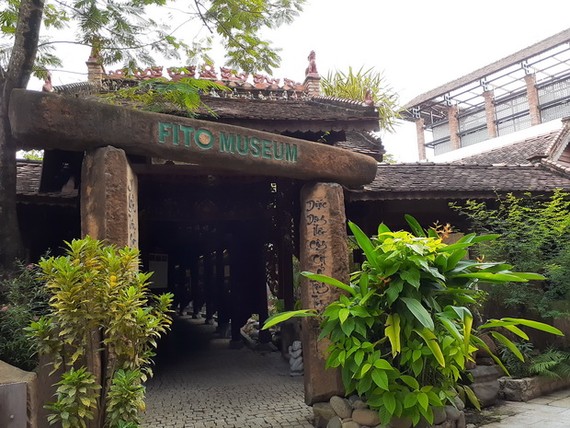 保存民族醫學 促進旅遊發展 ảnh 1