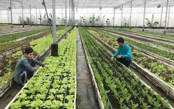 有機產品應用高新技術 ảnh 1