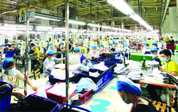 土龍木市大登工業區金昌鞋廠的工人。
