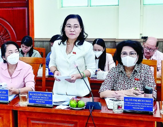 市人民議會主席阮氏麗在監察會議上發表意見。