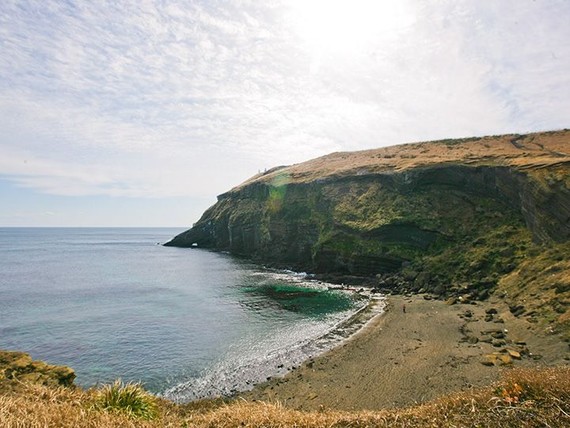 韓國濟州島東側的珊瑚島 ảnh 1