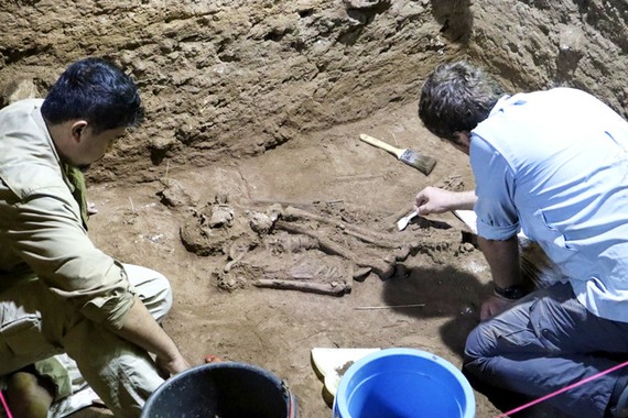 印尼婆羅洲（Borneo）一處洞穴挖掘出一具3.1萬年前左小腿被切除的人骨遺骸，是人類至今最早的截肢手術。（圖／美聯社、澳洲格里菲斯大學提供）
