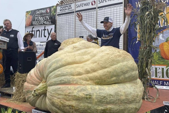 10日，特拉維斯·京格種出的重2560磅（1158公斤）的南瓜在美國加州南瓜年度冠軍賽中奪得第一。（圖：AP）