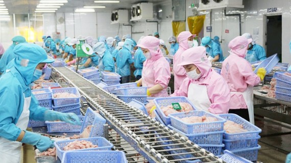 向歐盟市場出口農產品須遵守嚴格的規定。