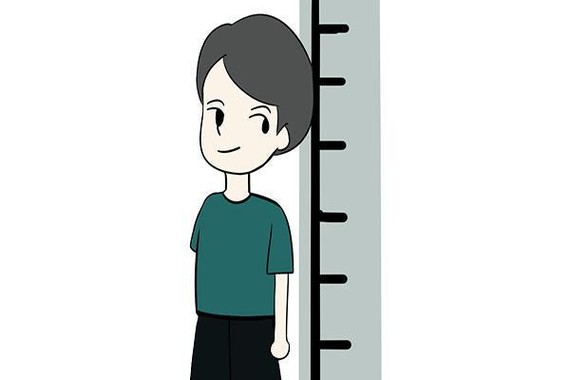 有关身高与寿命问题