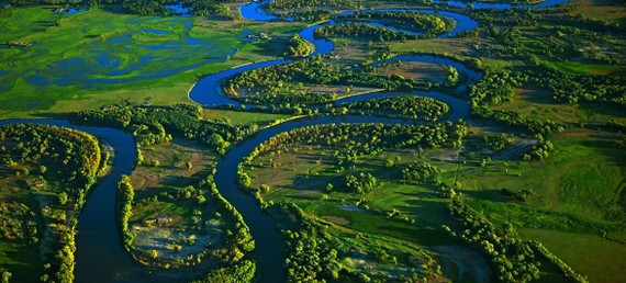 世界湿地日 加大资金投入与积极恢复湿地