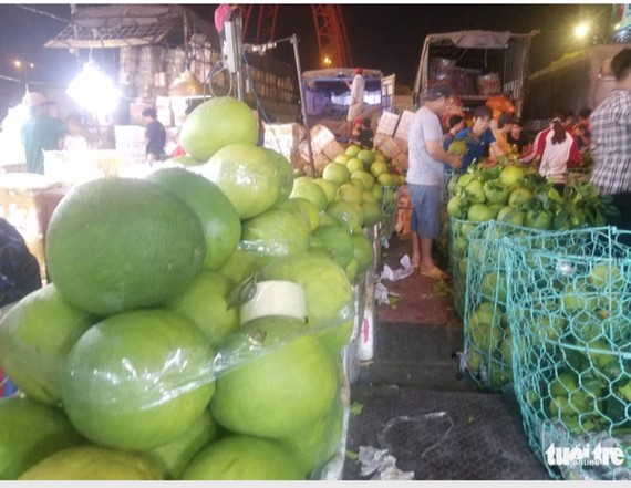 綠皮柚子充斥市場。