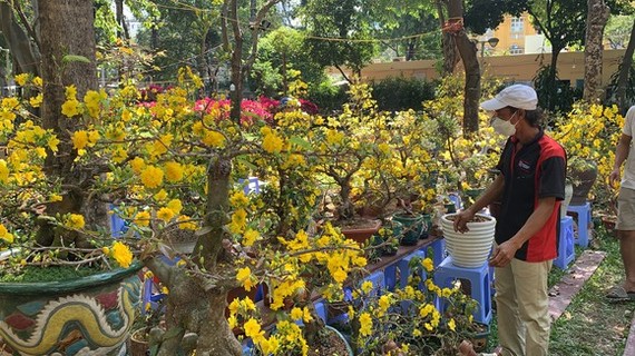 臘月廿九春花市生意紅火 ảnh 1