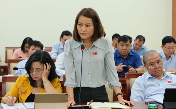 HĐND TPHCM “nóng” với kẹt xe, ô nhiễm môi trường Đại biểu HĐND TPHCM phát biểu trong phiên thảo luận tổ tại Kỳ họp thứ 17 HĐND TPHCM khóa IX. Ảnh: VIỆT DŨNG