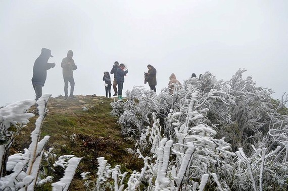 Hà Nội chỉ còn 11-12°C, miền Bắc sắp có băng giá Dự báo, băng giá có thể xuất hiện sau vài ngày nữa ở miền Bắc. Ảnh minh họa: Internet