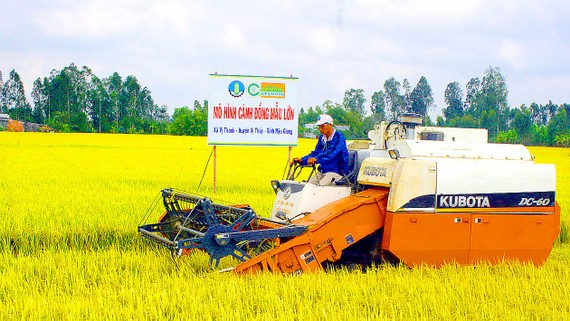 Đảm bảo an ninh lương thực vững chắc trong mọi tình huống Mô hình cánh đồng mẫu lớn tại ĐBSCL tạo điều kiện thuận lợi để nông dân cơ giới hóa - mang lại nhiều hiệu quả. Ảnh: CAO PHONG