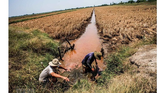Ảnh minh họa: VGP