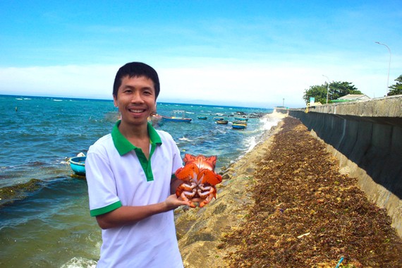 Người thả cua huỳnh đế về với biển Anh Phạm Văn Công chuẩn bị thả một con cua huỳnh đế đang mang trứng về biển
