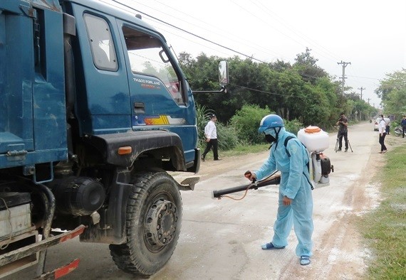 Quảng Ngãi: Dịch tả heo Châu Phi lây lan 8 huyện, thành phố ảnh 1