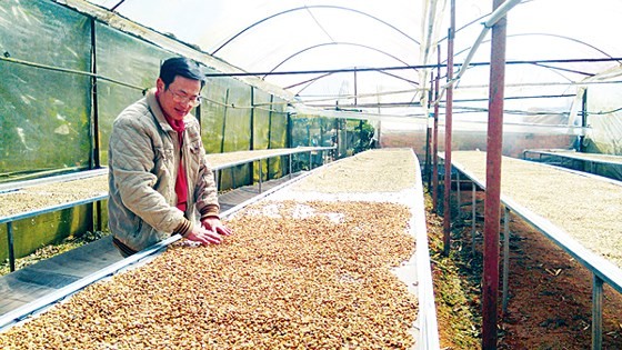 Hàng Việt rộng cửa vào thị trường Trung Đông ảnh 1