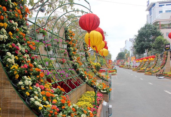 Đường hoa Cần Thơ rực rỡ trước giờ mở cửa ảnh 2