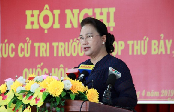Cử tri kiến nghị về giá xăng, giá điện ảnh 1