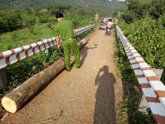 Xác định 3 đối tượng trong vụ lâm tặc đốt xe phi tang khi gặp kiểm lâm ảnh 2
