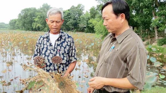 Qua vùng “chảo lửa” - Bài 1: Đồng khô cỏ cháy ảnh 3