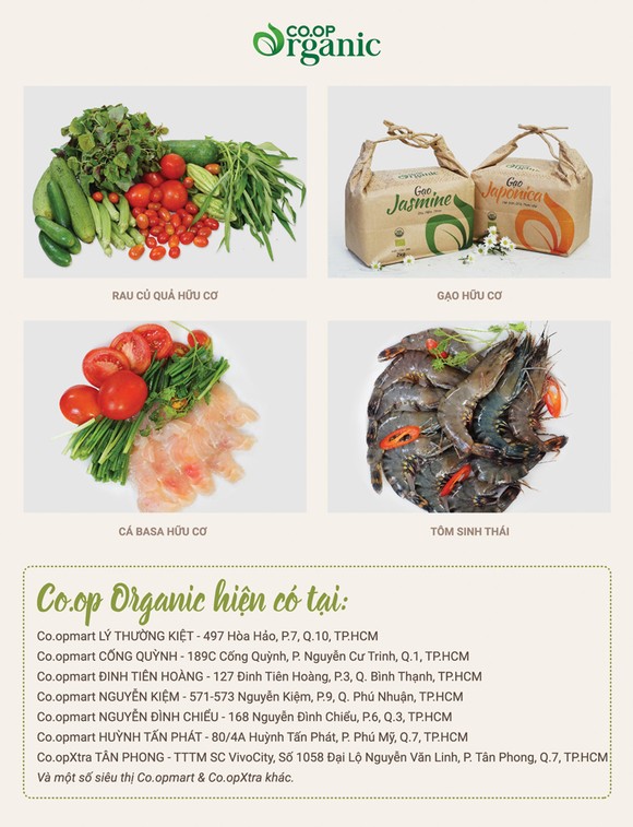Xuất hiện món Tết độc đáo từ thực phẩm organic ảnh 4