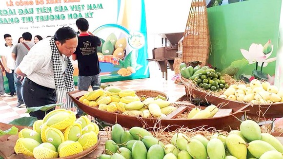Tín hiệu vui cho địa phương thế mạnh về xoài ảnh 1