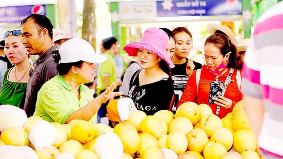 Trái cây giải nhiệt mùa hè ảnh 1