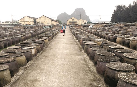 Giọt mặn mòi của biển ảnh 3
