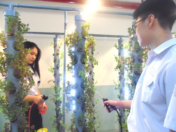 Sôi nổi dạy học theo dự án ảnh 1