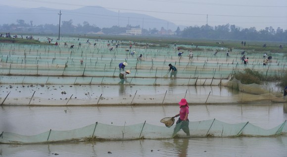Mảnh đất 'kỳ nhân' ảnh 2
