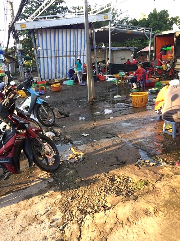 Ngán ngẩm vì chợ tự phát ảnh 1