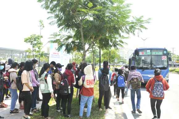 Hoạt động xe buýt ngày càng 'èo uột' ảnh 2