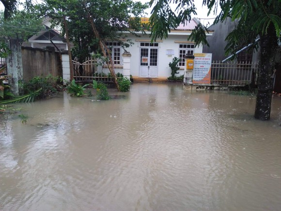 Đắk Lắk: Mưa lớn, hàng trăm nhà dân, hoa màu bị nhấn chìm ảnh 4