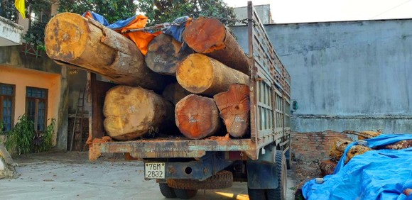 Bắt thêm xe chở gỗ lậu từ "cổng trời" Đắk Long ảnh 1