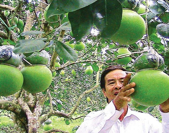 Hậu Giang - quen mà lạ ảnh 2