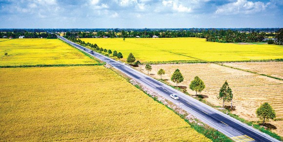 Hậu Giang - quen mà lạ ảnh 5