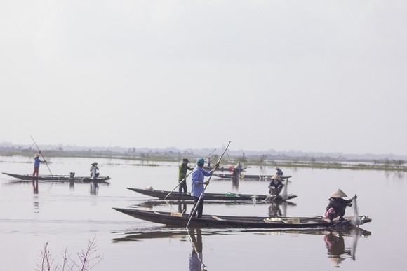 Mưu sinh vùng càng mùa nước nổi ảnh 2