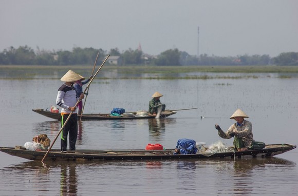 Mưu sinh vùng càng mùa nước nổi ảnh 3