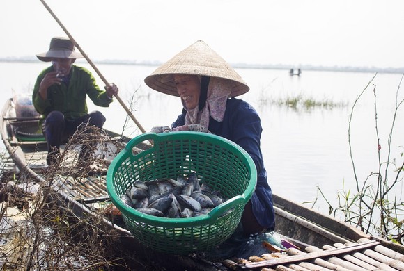 Mưu sinh vùng càng mùa nước nổi ảnh 6