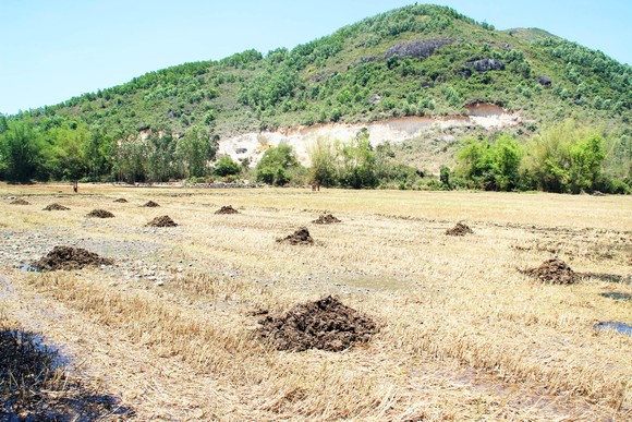 Vụ đất tặc lộng hành đào phá núi Mò O: Vì sao chưa đối thoại, công khai kết quả xử lý? ảnh 5