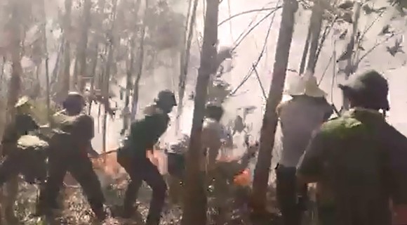 5 giờ đồng hồ, lửa lớn thiêu cháy gần 20ha rừng trồng ảnh 2